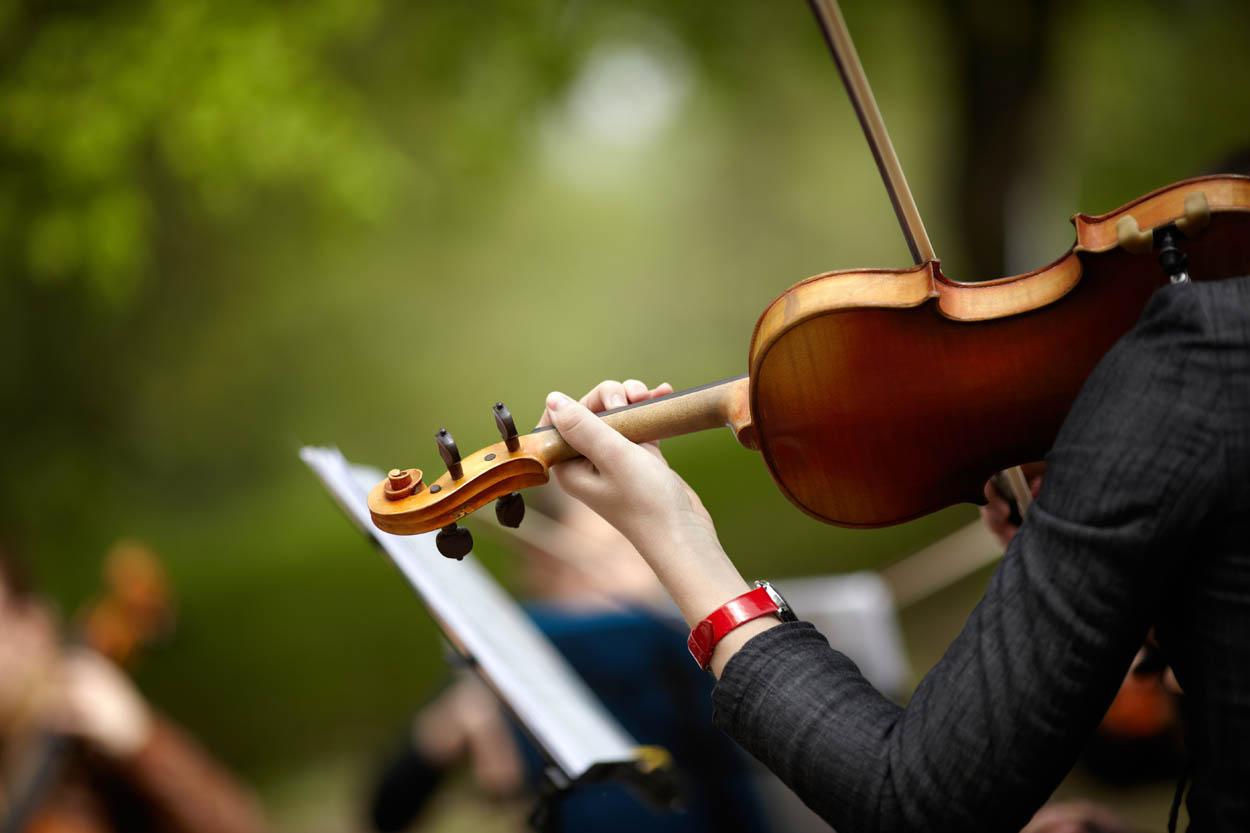 Violine